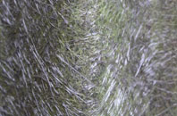 Bovington Camp fibreglass roof work